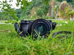 camera in grass