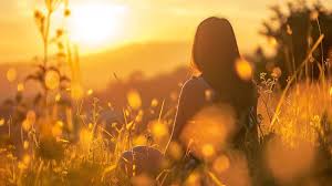 A photo taken during golden hour.